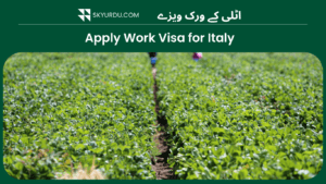 Italy Visa
