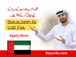 How to Apply for UAE Visa.