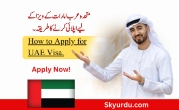 How to Apply for UAE Visa.