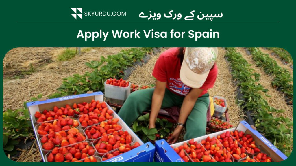 how-to-apply-work-visa-for-spain-skyurdu-com