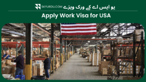 usa visa