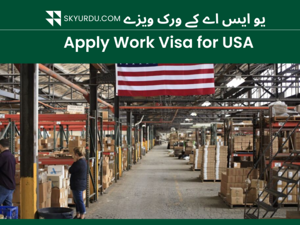 usa visa
