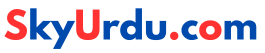 http://skyurdu.com/