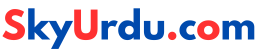skyurdu.com