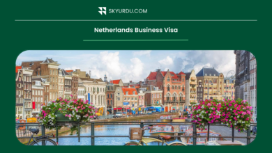 Netherlands business visa