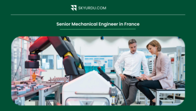 Senior Mechanical Engineer in France