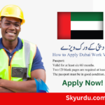 How to Apply Dubai Work Visa