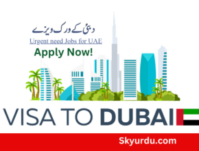 Urgent need Jobs for UAE