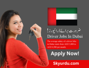 Driver Jobs In Dubai