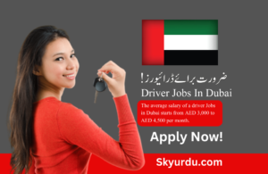 Driver Jobs In Dubai