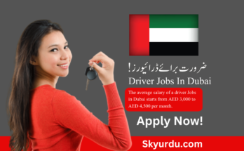 Driver Jobs In Dubai